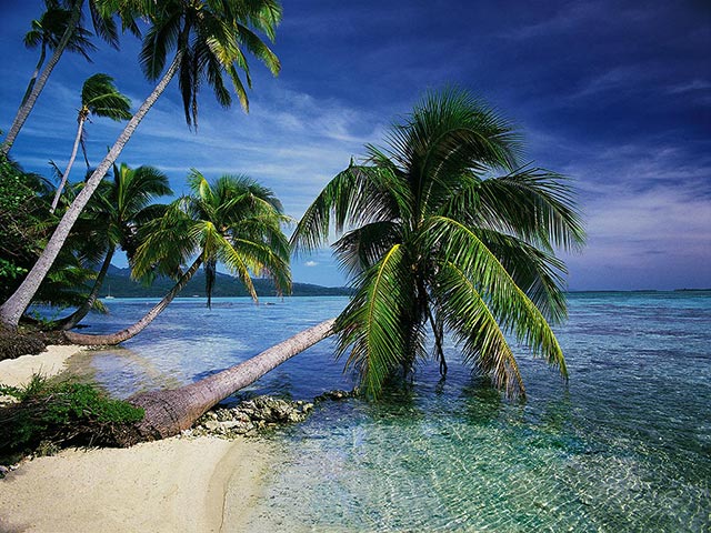 Click to view Beautiful Tropical Islands vol.1 1.0.5 screenshot